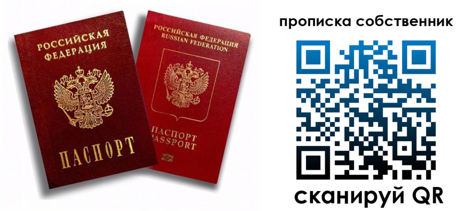 прописка 2025 в Дмитрове